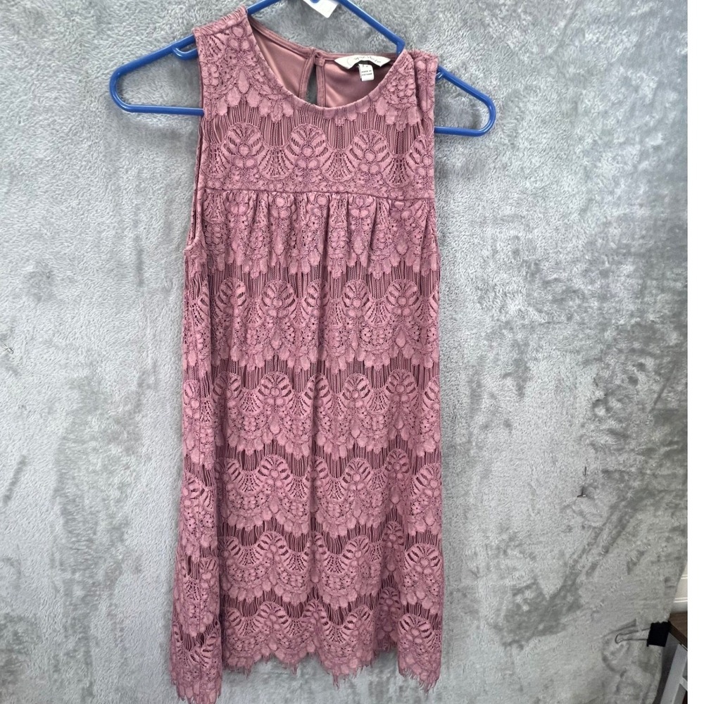 Romantic Dusty Rose Pink Floral Lace Sleeveless Shift Dress XS Coquette Girlcore